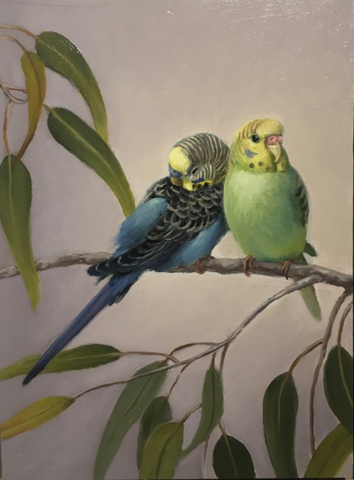 Two Budgies SOLD