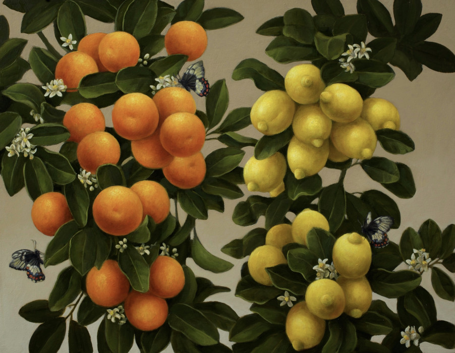 Oranges & lemons