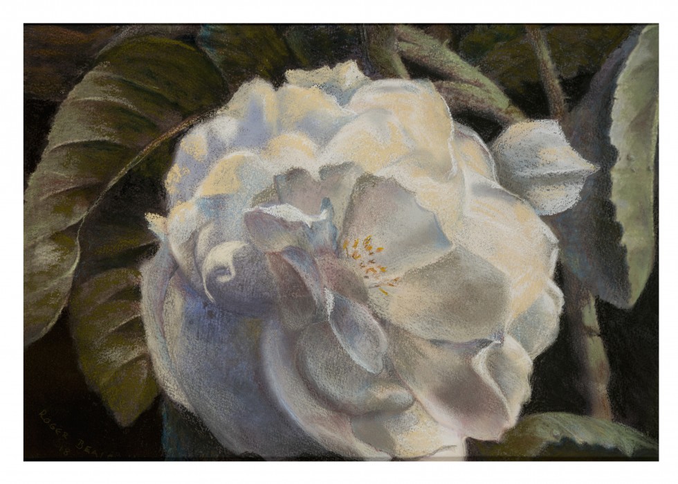 Gardenia With Leaves
