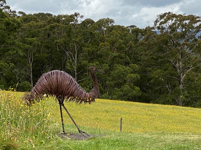 Emu in situ 2020