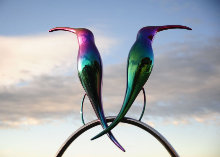 Ted Secombe -  Rainbow Birds