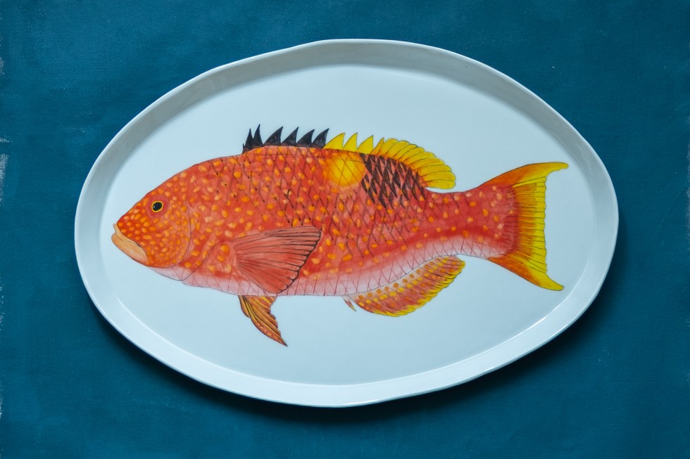 Goldspot Pigfish SOLD
