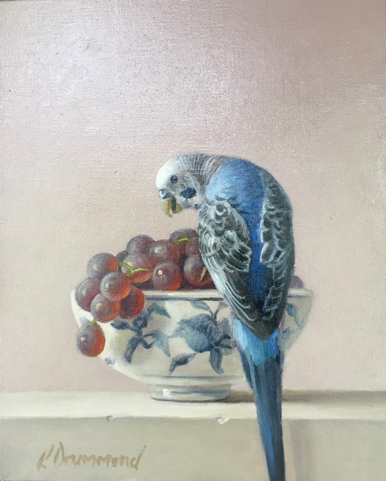 Blue Budgie with Grapes SOLD