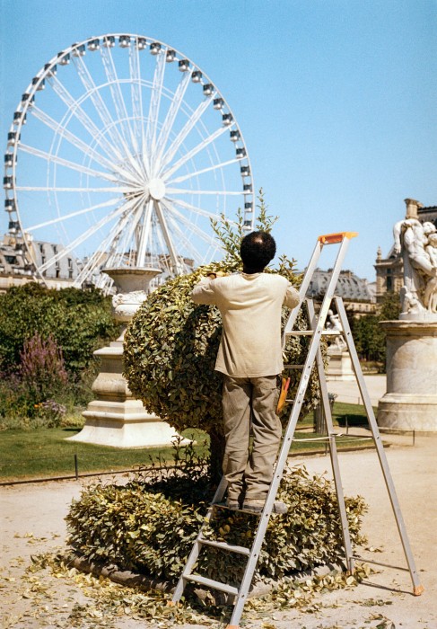 Jardinier, Paris