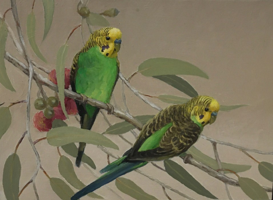 Two Green Budgies