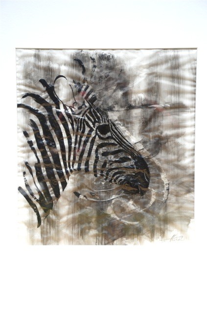 Untraceable Zebra on Tracing paper