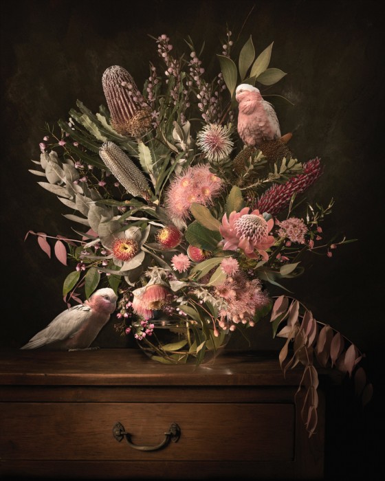 Pamela Pauline - Gorgeous Galahs 2022 (Birds in Bloom Series)