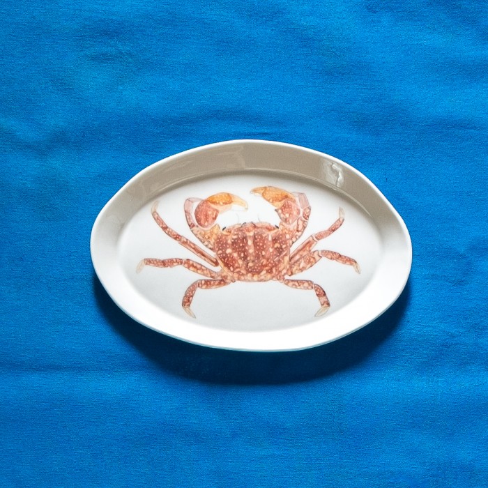Mottled Shore Crab 2022
