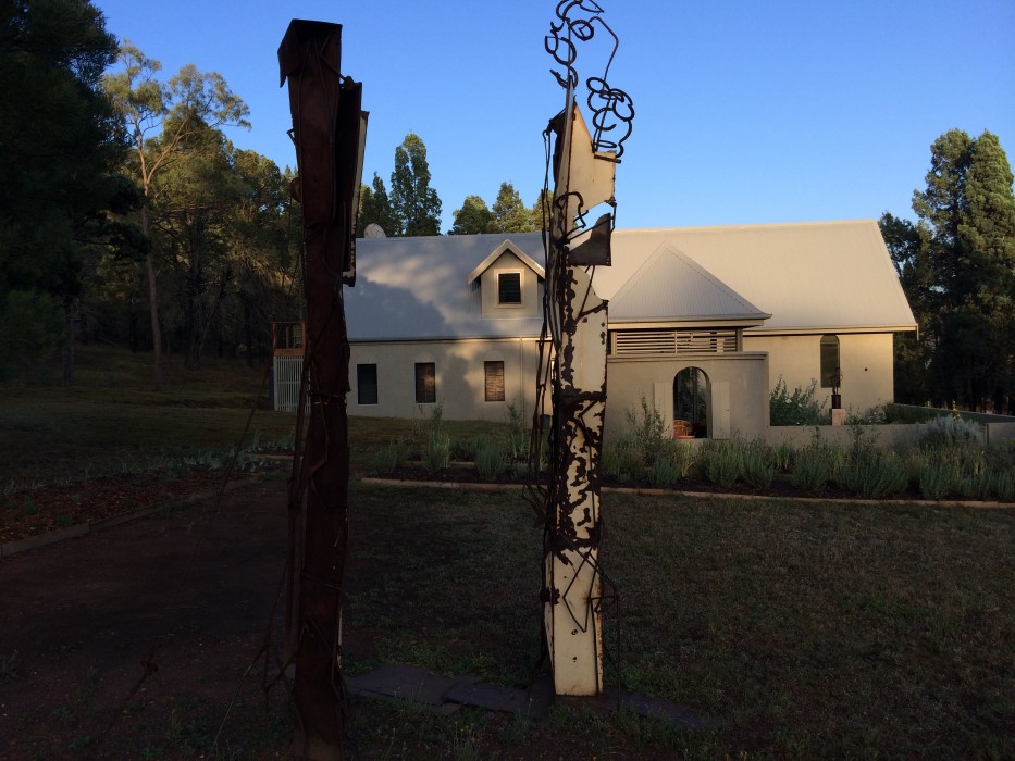 Long Paddock Sentinel in situ - Upper Hunter Valley, NSW
