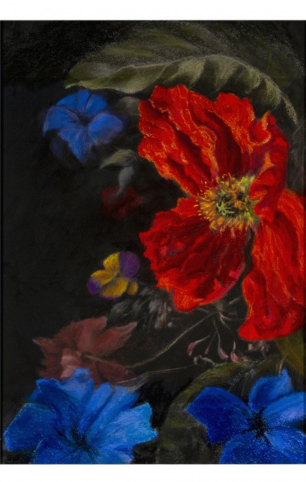 Baroque Poppy